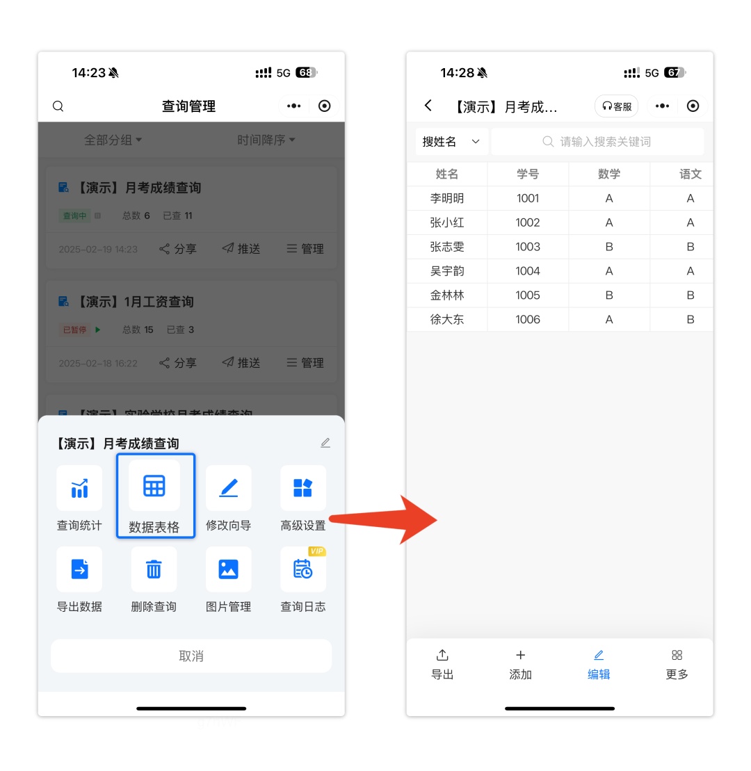 查询管理-数据表格